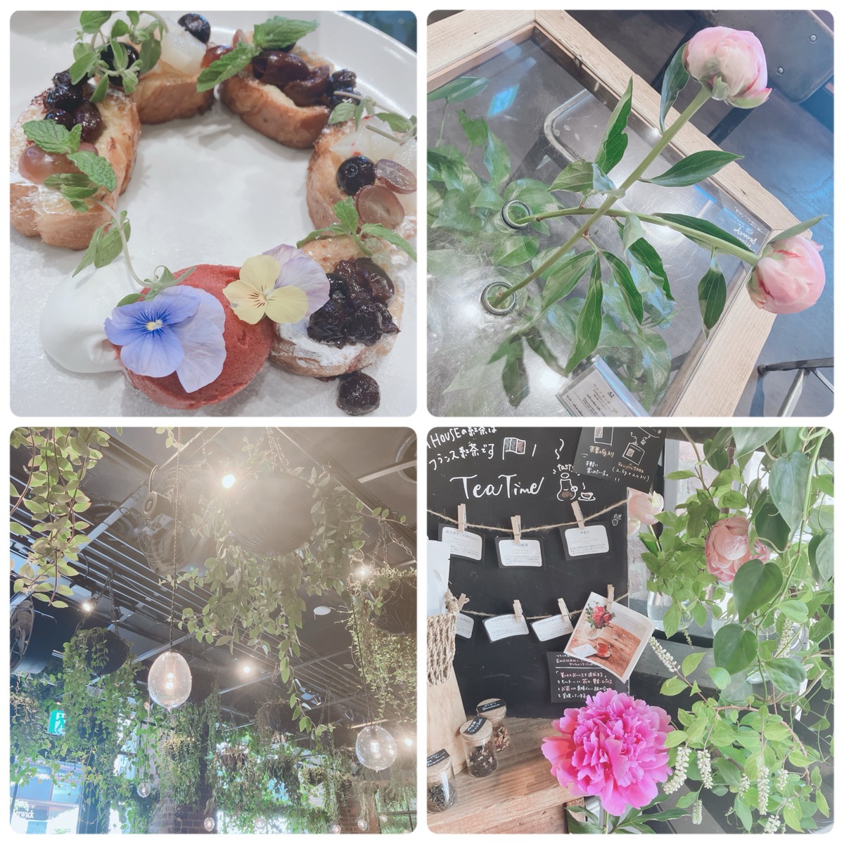 カフェレポ🌸
